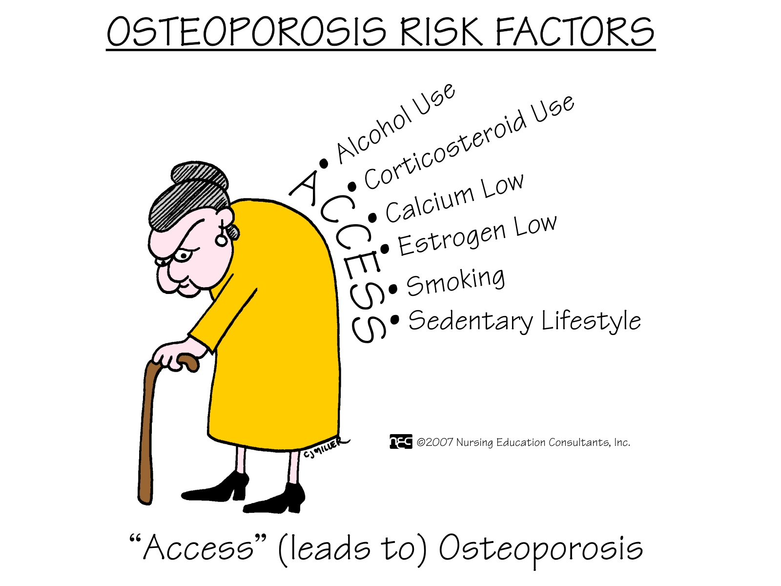 Osteoporosis-Risk-Factors1.jpg