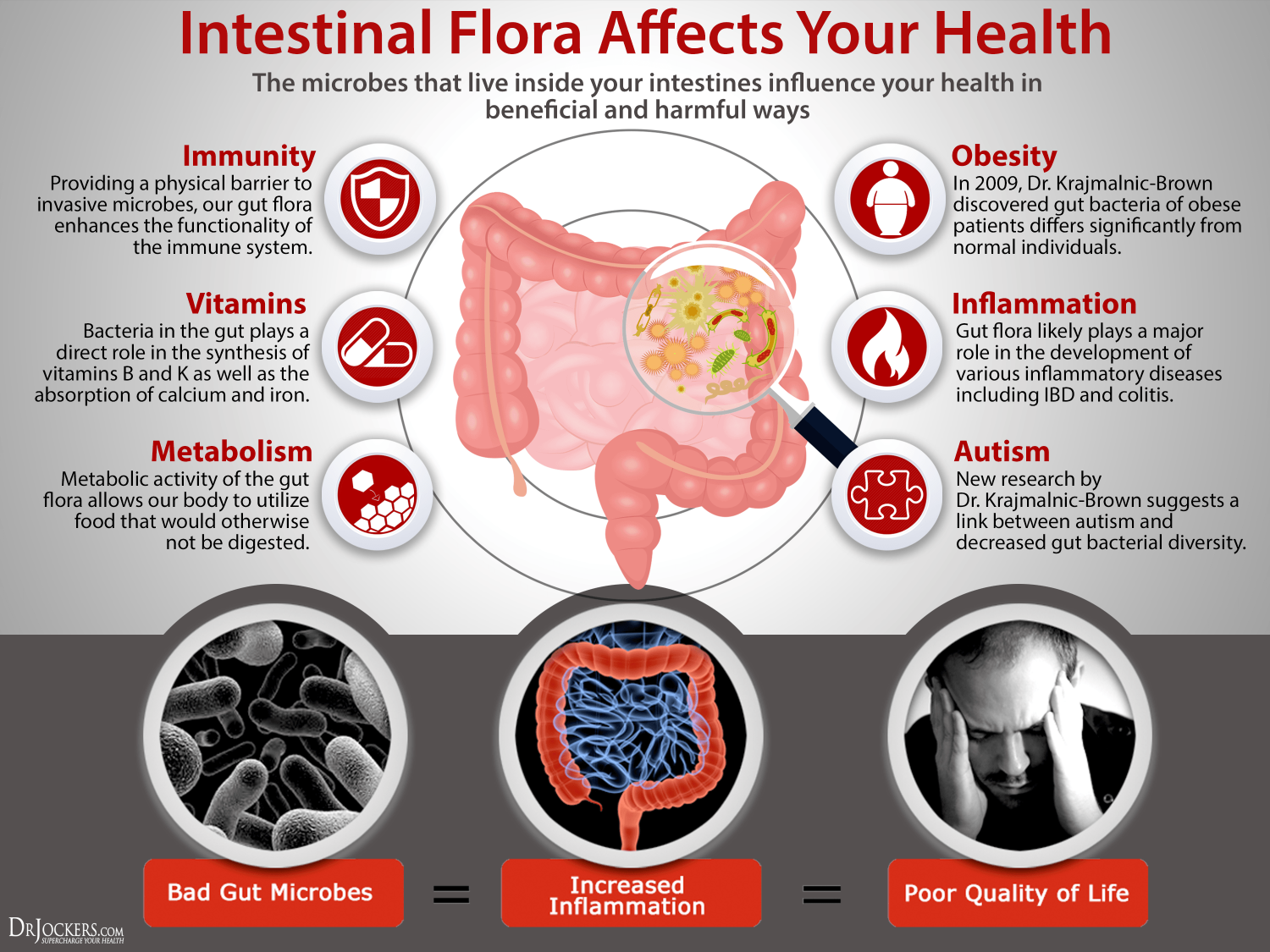 gut-flora-2.png