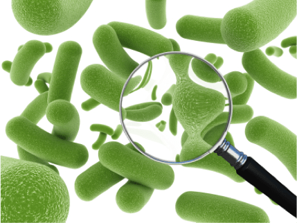 probiotics-istock-2_11_13.png